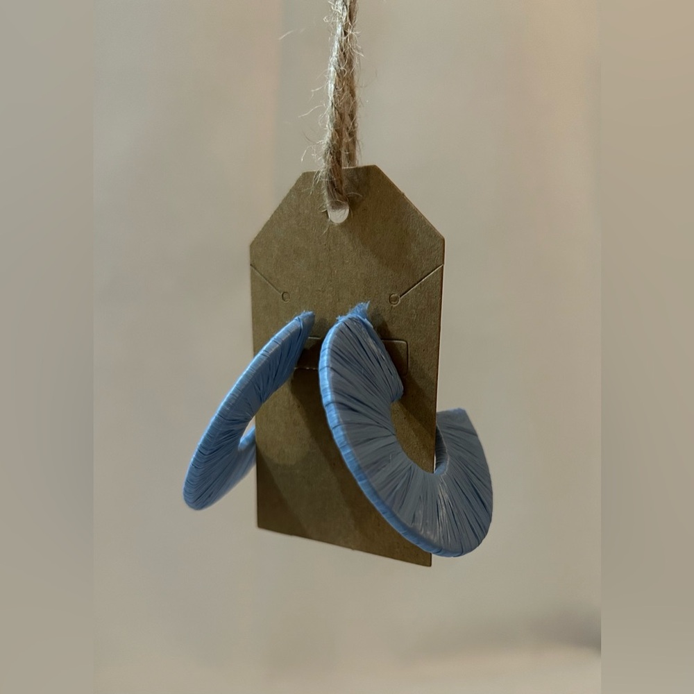Blue Hoop Earrings